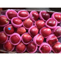 chinese huaniu apple china apple red apple